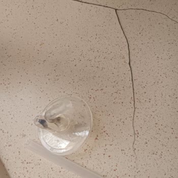 Küflü Pipetli Çelik Termoslar İçin Yedek Parça Talebi