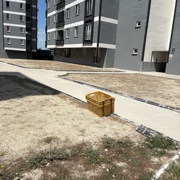 Kuryenin Bahçeye Sepet Bırakması Ve Kaba Üslubu Şikayeti