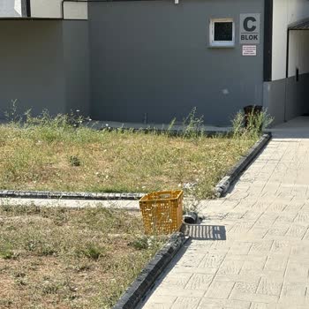 Eki aç