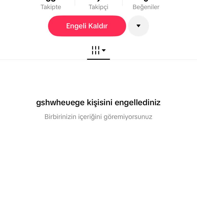 TikTok’ta İzinsiz Profil Fotoğrafı Kullanımı Ve Kişilik Hakları İhlali