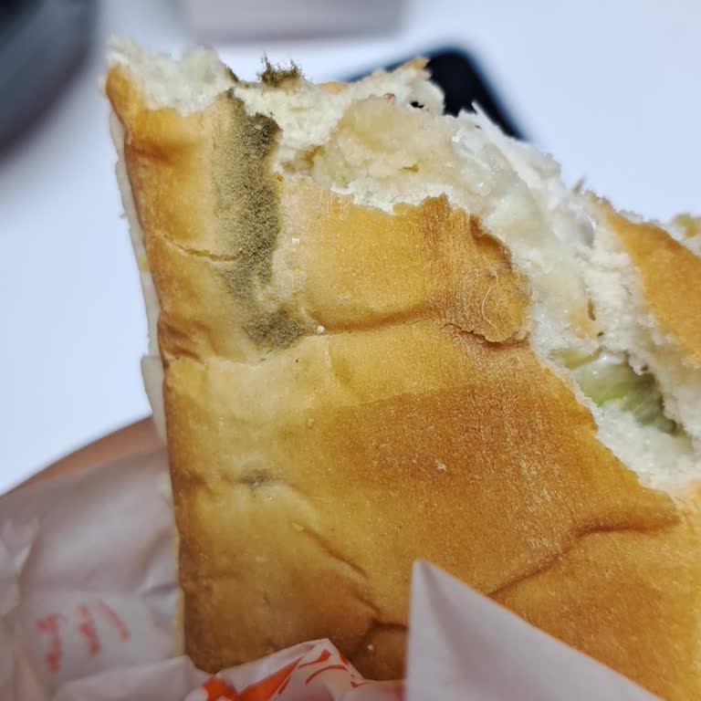 Popeyes Sandviçinde Yeşil Küf Lekesi Gıda Güvenliği Endişesi Ve İade Talebi