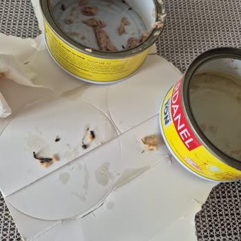 Dardanel Ton Konserve İçinde Siyah Parçalar Ve Hijyen Endişesi