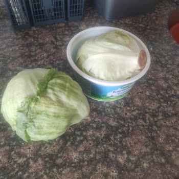 Taze Olmayan Ürünler Ve Değişim Talebim Reddedildi