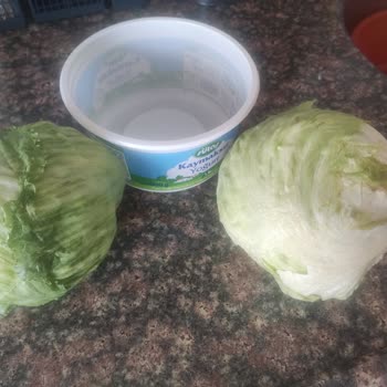 Taze Olmayan Ürünler Ve Değişim Talebim Reddedildi