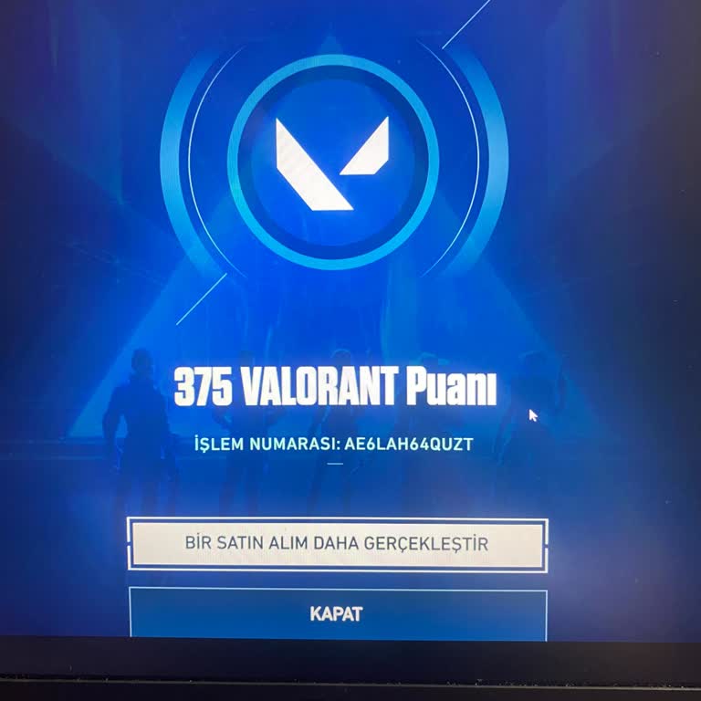Anında Teslimat Sözü Verilen VP Satın Alımında Gecikme Ve Eksik Yükleme