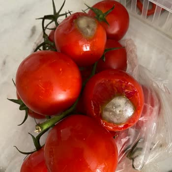 Migros Sanal Market'te Bozulmuş Meyve Ve Sebze İle Yanlış Gramajlı Yumurta Sorunu