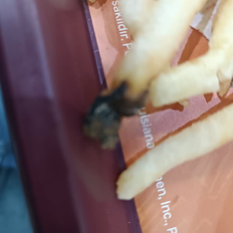 Van Mall Popeyes Şubesinde Yanık Patates Ve Yanıltıcı Tablet Menüsü