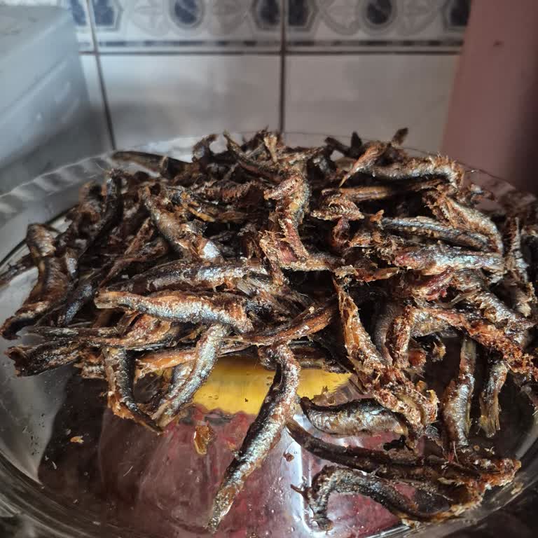 Küçük, Acı Ve Bayat Hamsi Şikayetim