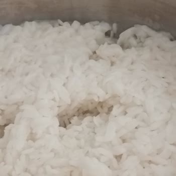 Yayla Pirinçte Tekrarlanan Tane Boyutu Ve Yumuşaklık Sorunu Pilav Kalitesini Düşürüyor