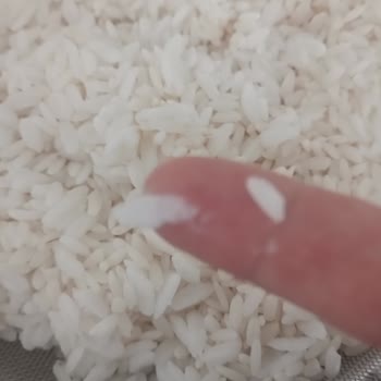 Yayla Pirinçte Tekrarlanan Tane Boyutu Ve Yumuşaklık Sorunu Pilav Kalitesini Düşürüyor