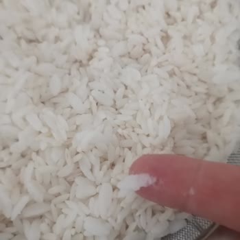 Yayla Pirinçte Tekrarlanan Tane Boyutu Ve Yumuşaklık Sorunu Pilav Kalitesini Düşürüyor