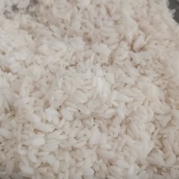 Yayla Pirinçte Tekrarlanan Tane Boyutu Ve Yumuşaklık Sorunu Pilav Kalitesini Düşürüyor