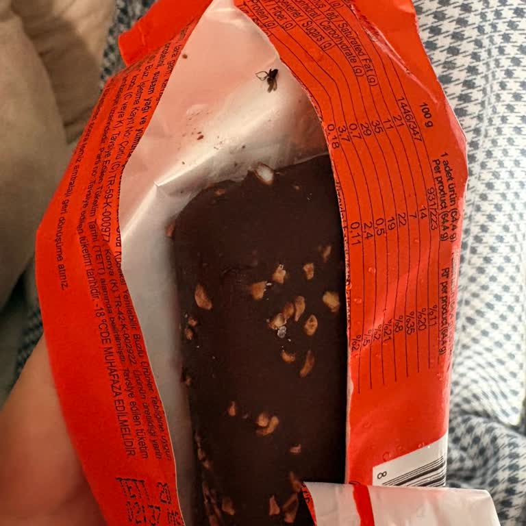 Algida Boom Boom Dondurması Üzerinde Canlı Böcek Görülmesi Hijyen İhlali