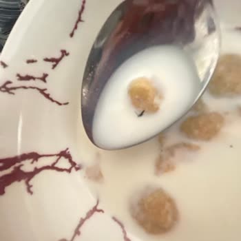 Kellogg’s Special Gurme Ürünün İçinde Böcek Görülmesi