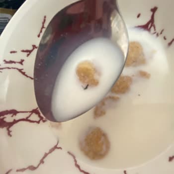 Kellogg’s Special Gurme Ürünün İçinde Böcek Görülmesi