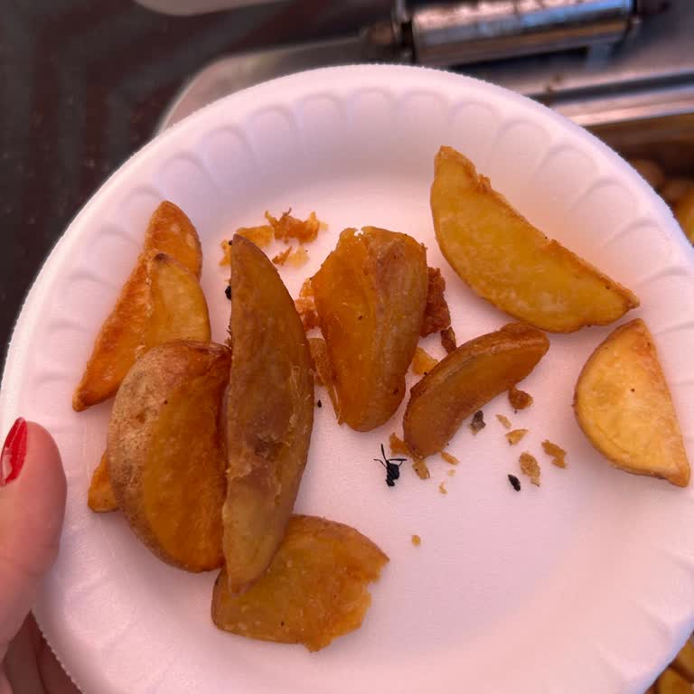 Hijyen İhlali: Snack Bar’da Böcekli Patates Kızartması Ve Kaba Personel Davranışı