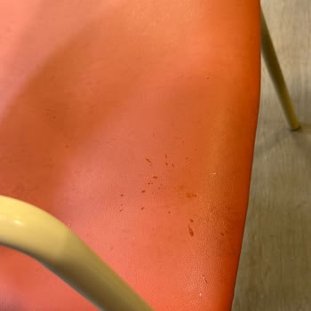 Şişli Arby's Şubesinde Hijyen Kirliliği Ve Ürün Kalitesi Sorunları