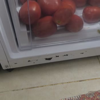 Ayıplı Vestel Buzdolabının Paslanması Ve Ücretsiz Değişim İsteği