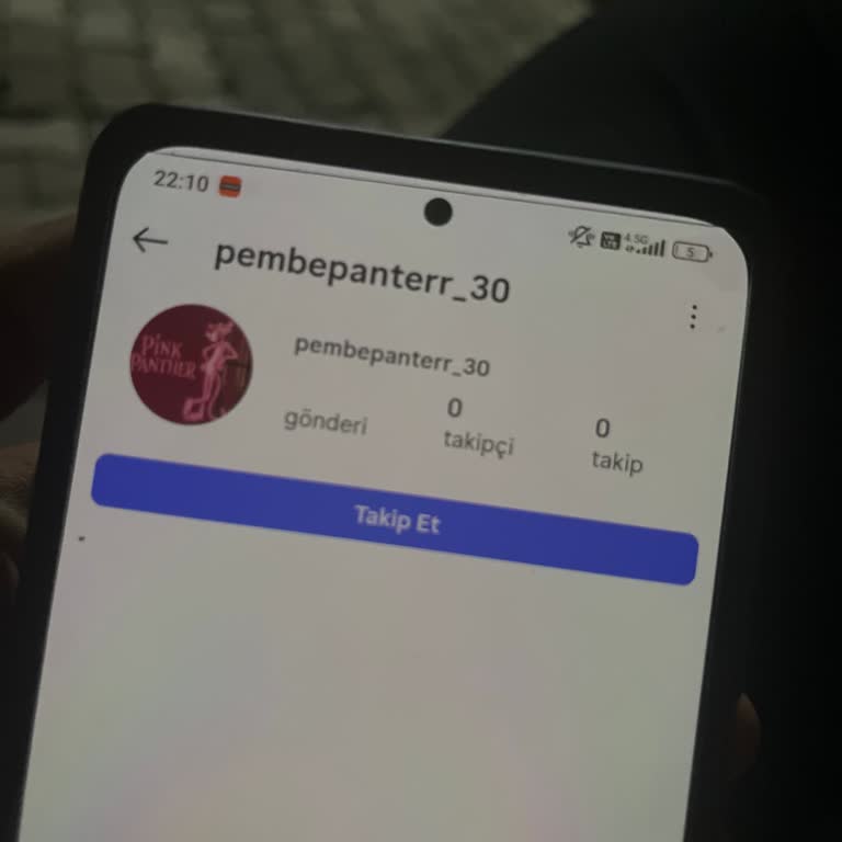 Instagram’da Sahte Hesap Tarafından Rahatsız Edilme Ve Hızlı Kapatma Talebi