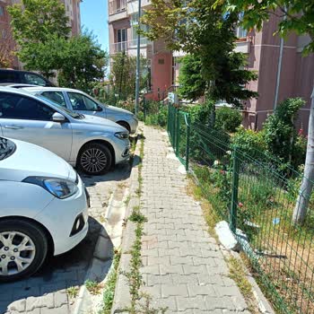 Ortak Alanı İşgal Eden Kaçak Tel Çit Kaldırılmalı