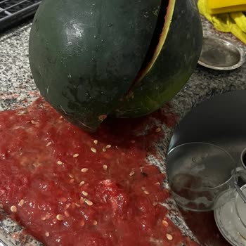 Bozuk Karpuz Ve Yanıt Vermeyen Canlı Destek