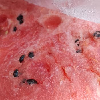 Bozuk Karpuz İçin Tam Ücret İadesi Talebi