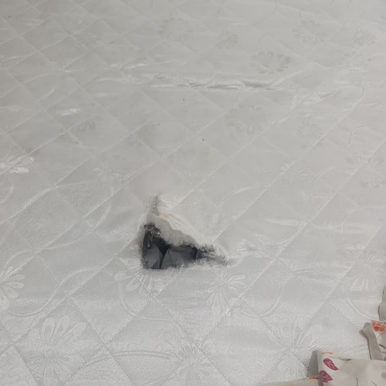 Ankara Gazi Nakliyat Şikayeti