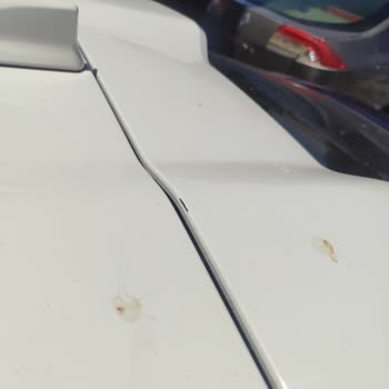 Tekrarlayan Bagaj Kapak Boya Dökülmesi Sorunu Kalıcı Çözüm Talebi