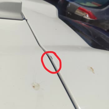 Tekrarlayan Bagaj Kapak Boya Dökülmesi Sorunu Kalıcı Çözüm Talebi