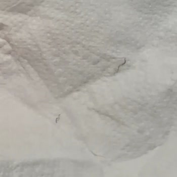Kazandibi Ürününde Tel Parçaları Çocuğumun Sağlığını Endişelendirdi