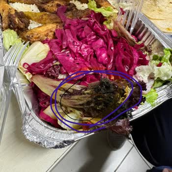 Hayalet Mutfaktan Bozuk Tavuk, Çürük Salata Ve Eksik Kola İçin Tam İade Talebi