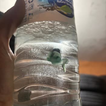 Asya Su Şişesinde Yabancı Madde Ve Sağlık Sorunu