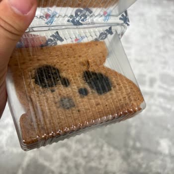 Sinangil Glütensiz Tost Ekmeğinde Küflenme Sorunu