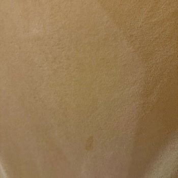 Hijyen Sorunları Ve Geciken Şampuan Teslimatıyla 67.000 TL’lik Tatil Hayal Kırıklığı