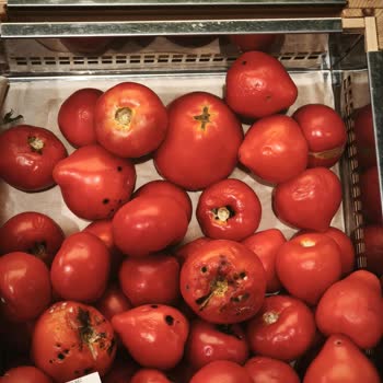 Мираторг Жалоба На Некачественные Продукты В Продаже р.п. Павловская Слобода, ул. Ленина, д. 76/3