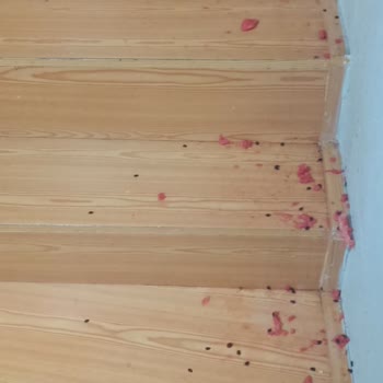 Migros Plastik Poşetin Kalitesizliği Nedeniyle Karpuz Ve Eşyalarımın Hasar Görmesi