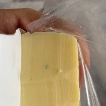 Kaşarda Yeşil İp Hijyen Sorununu Açıkça Gösteriyor