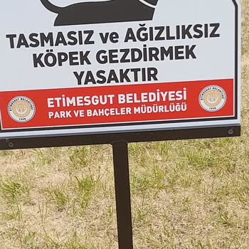 Etimesgut Eryaman Parklarında Tüm Köpeklere Zorunlu Ağızlık Uygulaması Hukuka Aykırı