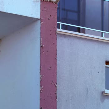 Ankara Batıkent'te Life 312 Yönetimine Şeffaf Aidat Hesapları Ve Görevden Çıkarılma Talebi