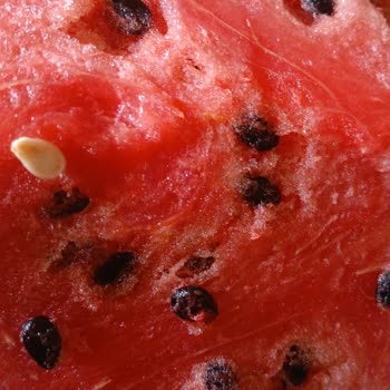 BİM'de Bozuk Karpuz İadesi Sözünün Geri Çekilmesi Ve Müşteri Yükümlülüğü