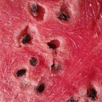 BİM'de Bozuk Karpuz İadesi Sözünün Geri Çekilmesi Ve Müşteri Yükümlülüğü
