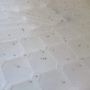 Yatak Arızaları Ve Sağlık Sorunu Nedeniyle İade Talebi