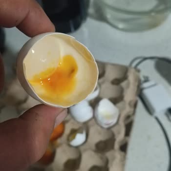 A101 Gölcük Şubesinde Son Kullanma Tarihi Olmasına Rağmen Çürük Yumurta Satışı