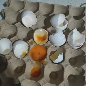 A101 Gölcük Şubesinde Son Kullanma Tarihi Olmasına Rağmen Çürük Yumurta Satışı