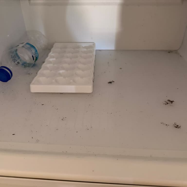 Yanıltıcı Havuz Bilgisi Ve Hijyen Sorunlu Apart Oda Zorlaması