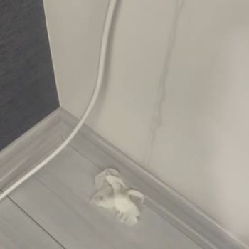 Premium Üyeye Ayrıcalık Tanınmaması Ve Klima Değişim Gecikmesi