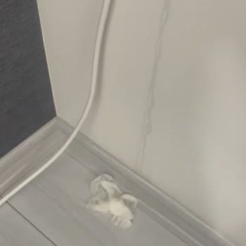 Premium Üyeye Ayrıcalık Tanınmaması Ve Klima Değişim Gecikmesi