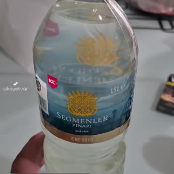 Yosunlu Seğmenler Su, Nereden Dolduruyorlar Kim Bilir?