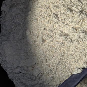 Proteinocean Ürününde Plastik Parçalar Tespit Edildi Sağlık Ve Güvenlik Riski