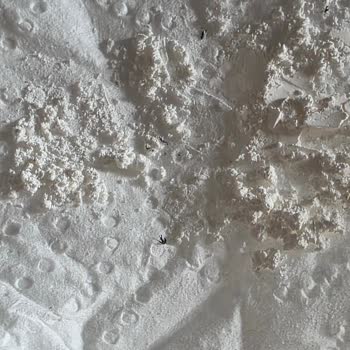Proteinocean Ürününde Plastik Parçalar Tespit Edildi Sağlık Ve Güvenlik Riski